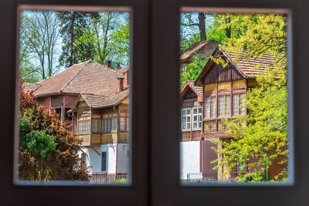 Vila Emilia Vrnjacka Banja Exterior photo